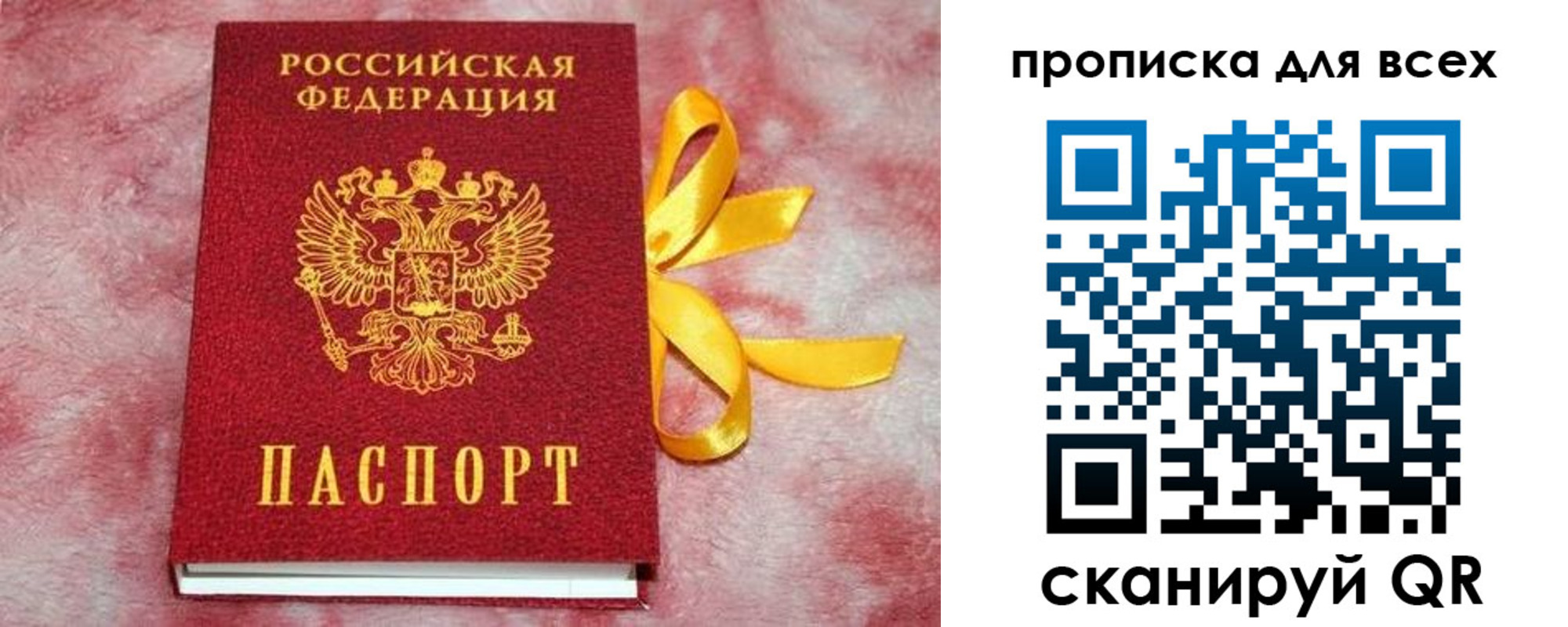 прописка для школы в Дорогобуже